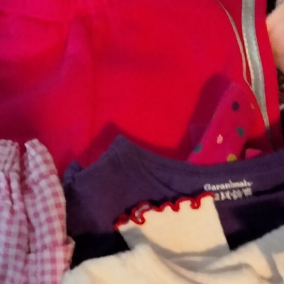 "All different brands" 2T girls clothes - Picture 5 of 16